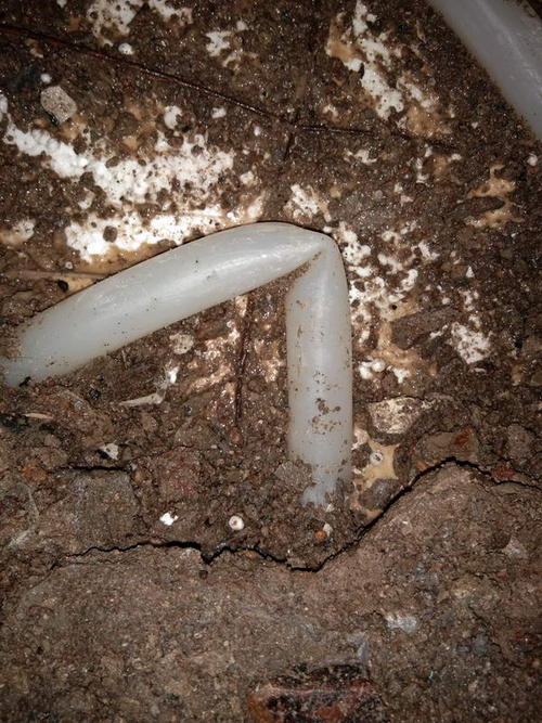 临海堵点精准查找